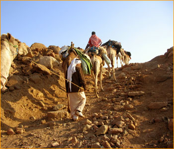 Wadi Zaghra – Kamelritt zum Wadi Hamam – Mittagspause im Wadi