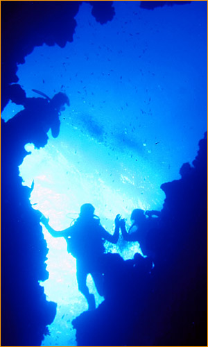 Dive packages